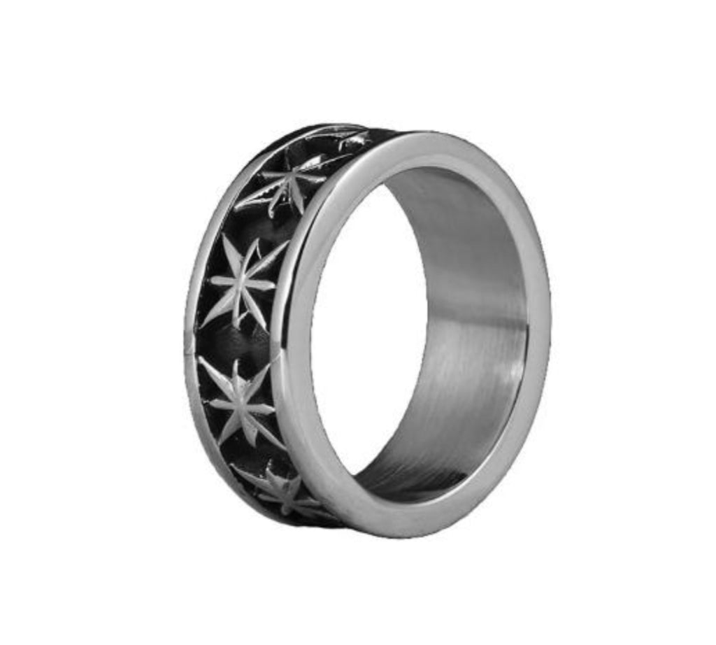 Blake’s Stary Band